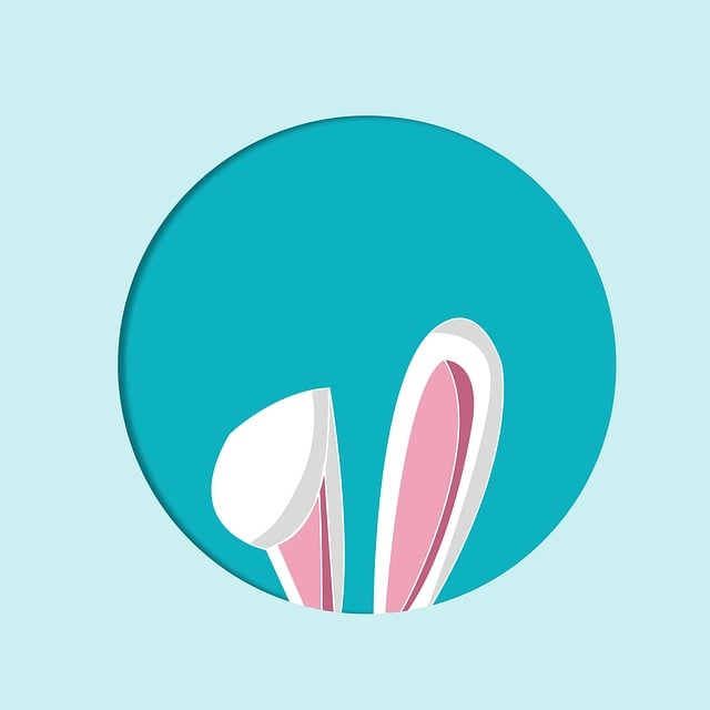 oreilles de lapin